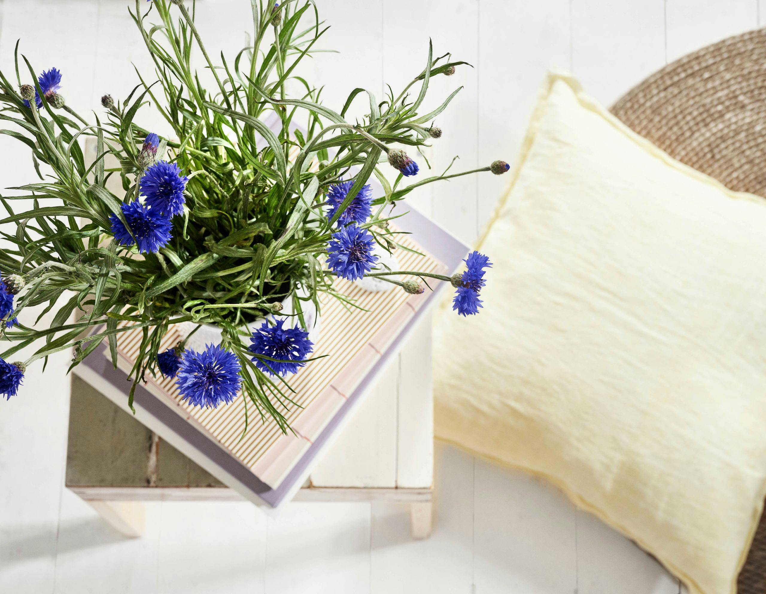 bm blomster okt 2019 06 vaser blomster shopping mugge tørkedeblomster